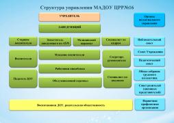 Структура и органы управления МАДОУ ЦРР №16